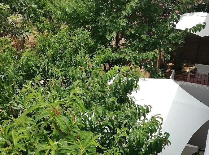 Daire Bourbos Summer Himarë